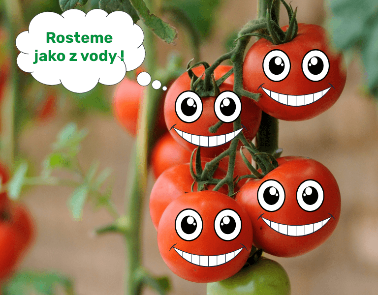 Rosteme jako z vody